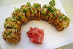 Spicy Tuna Crispy Roll